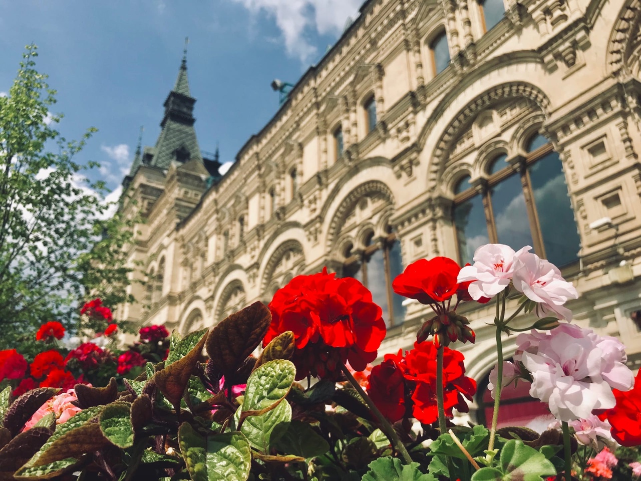 Адвокат из Палласовки даже через Москву не смогла добиться должности судьи