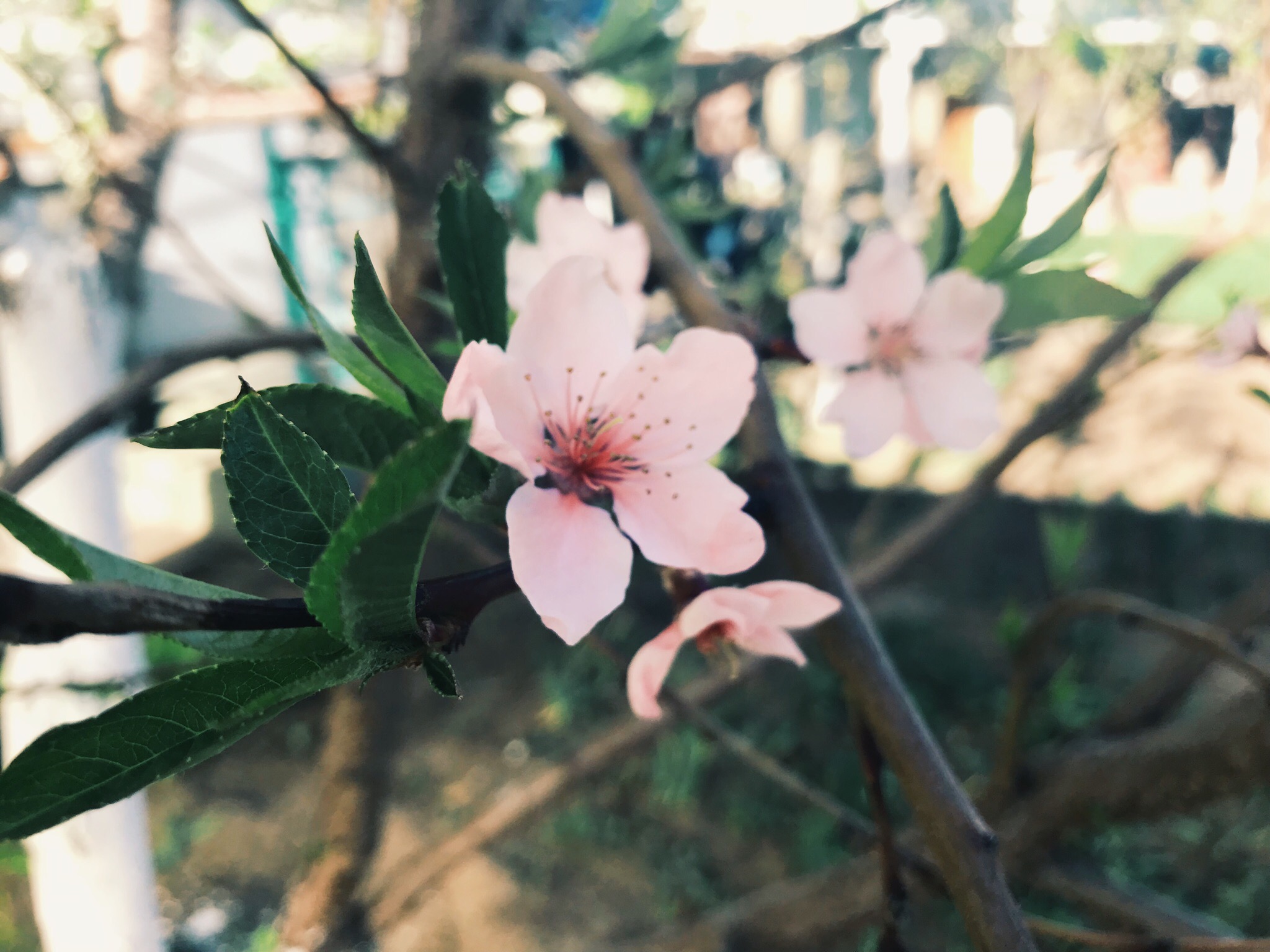 За отрезанные вентилятором пальцы мастера ответит начальник сервисного локомотивного депо «Волгоград»
