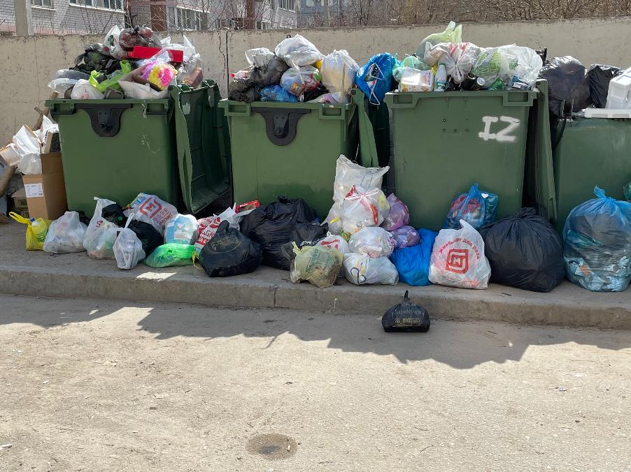 Волгоградские экологи будут контролировать работу нового мусорного оператора