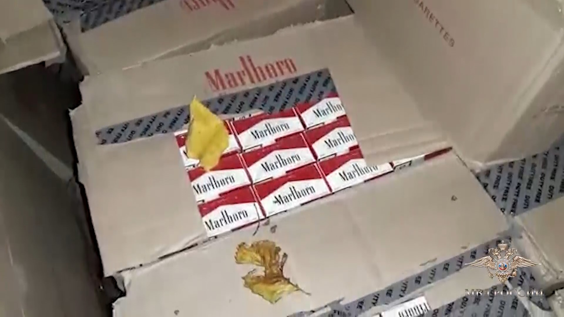 105 тысяч немаркированных пачек сигарет нашли в тайнике в Волгоградской области