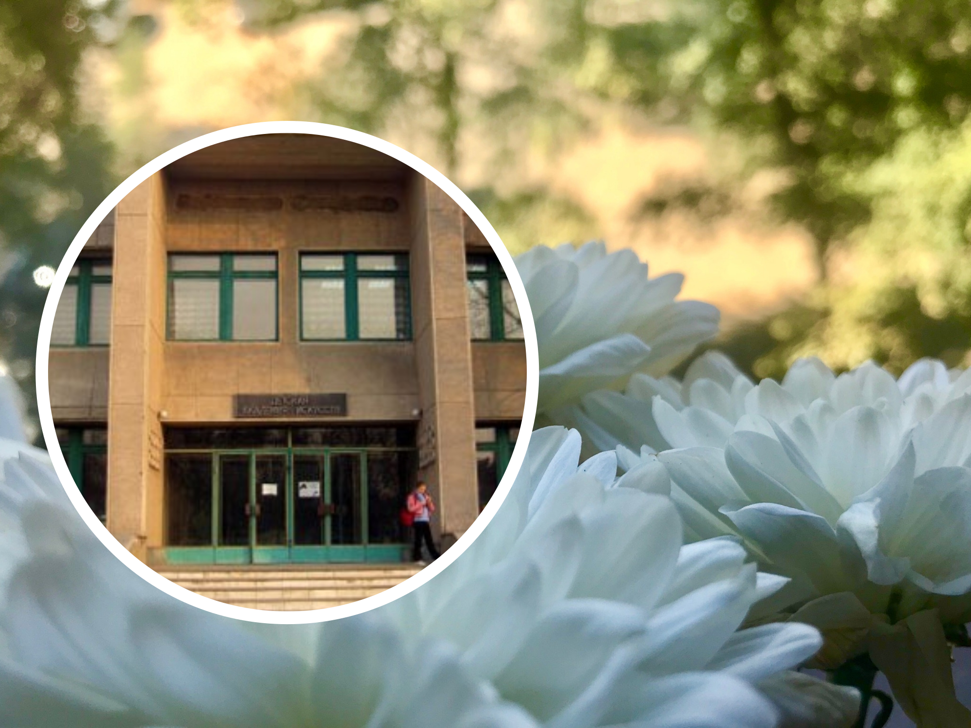 Полное бескультурье: в волгоградской школе искусств №4 работали трое уголовников