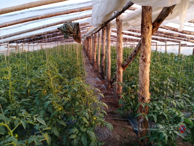 Житель Городищенского района незаконно воровал воду из реки