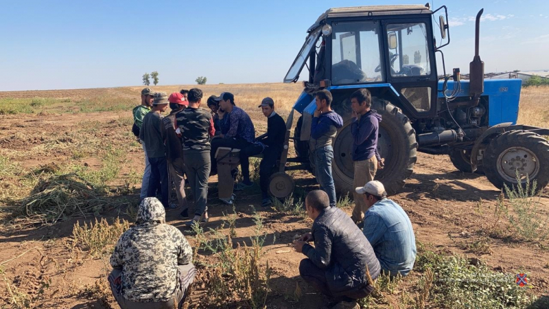 Накануне профессионального праздника сотрудники волгоградского миграционного управления МВД вышли на рейды