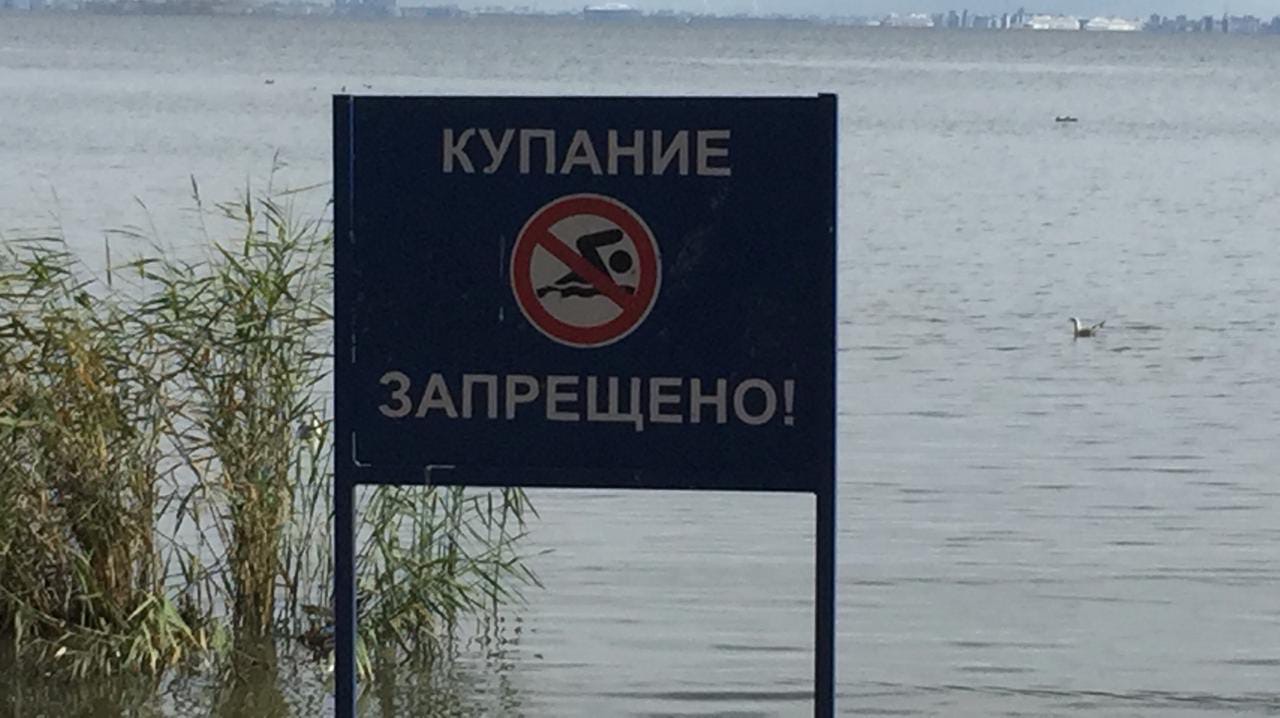 Вода в Волге на волгоградских пляжах не соответствует гигиеническим нормам