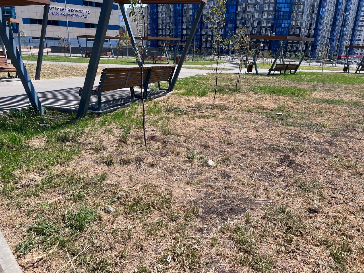 Пожелтел и оплешивел торжественно открытый сквер в Волгограде