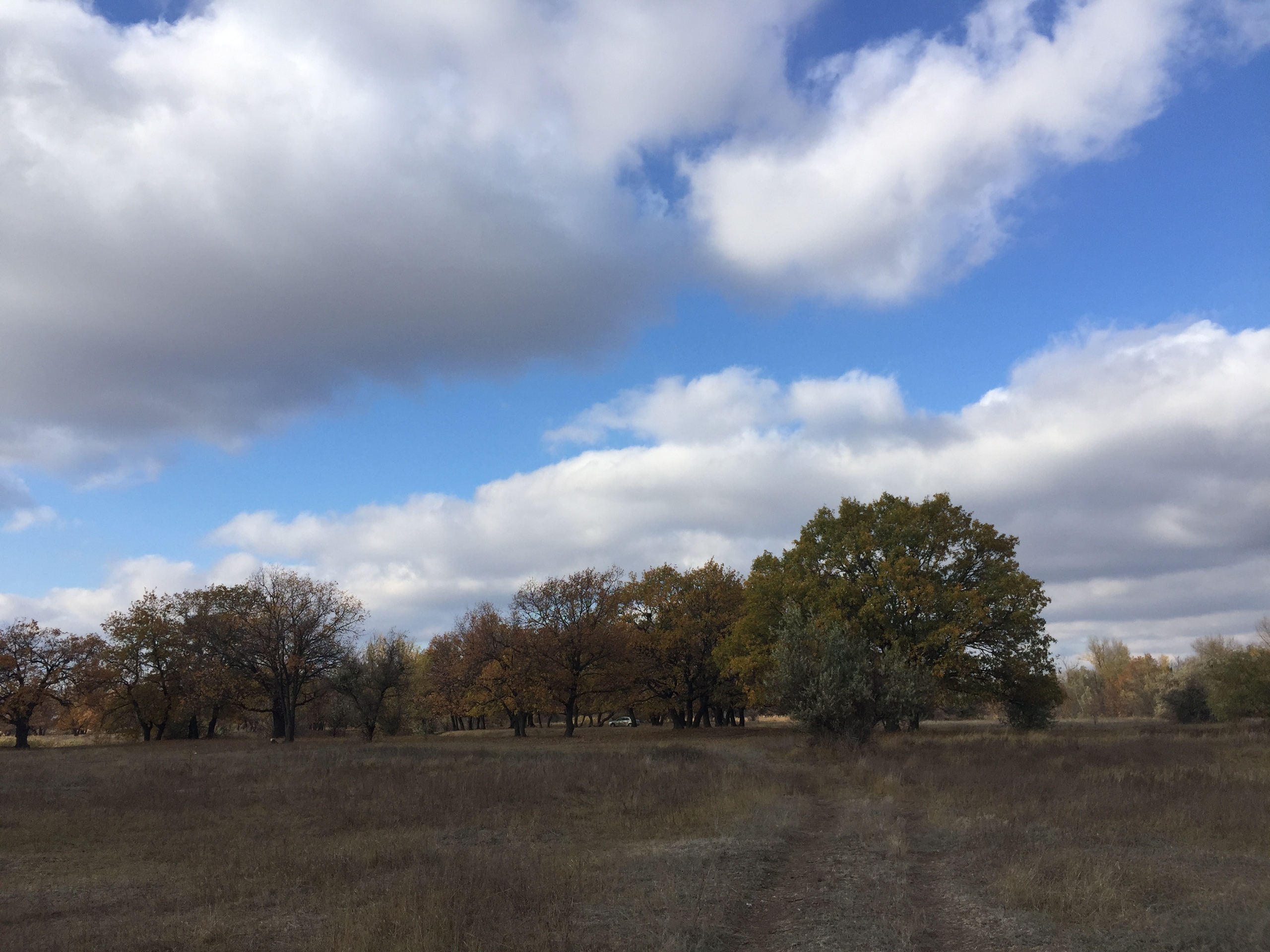 В Волгограде судят директора фирмы, которая нашла способ уйти от налога на НДС