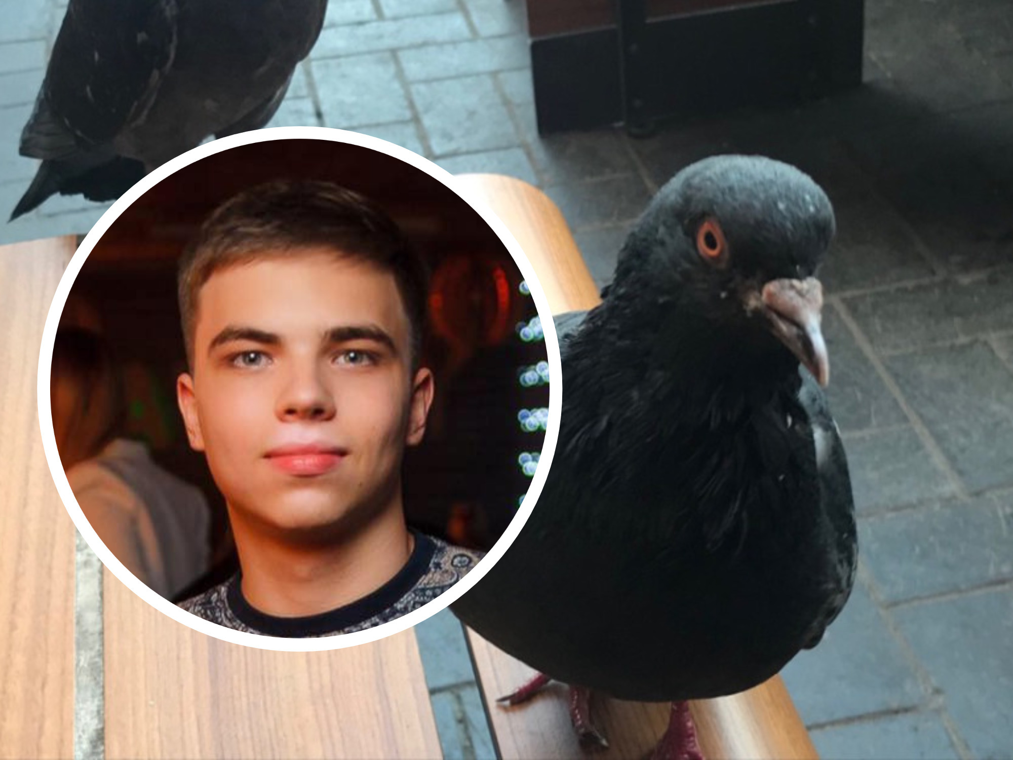 Позвал санитаров и обозвал: МГЕРеныш публично оскорбил защитника исторического наследия Волгограда