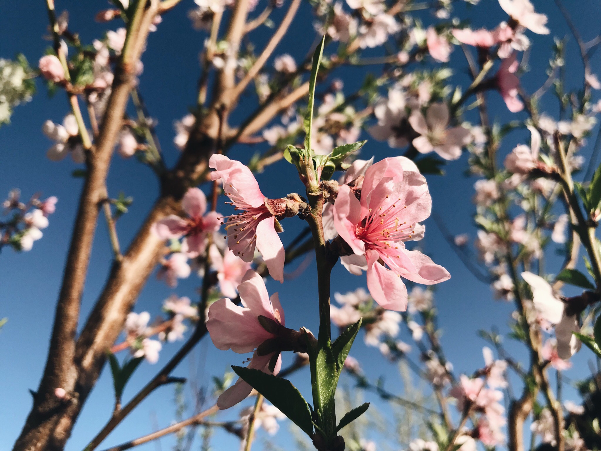 328 волгоградцев за сутки попались на нарушении режима самоизоляции