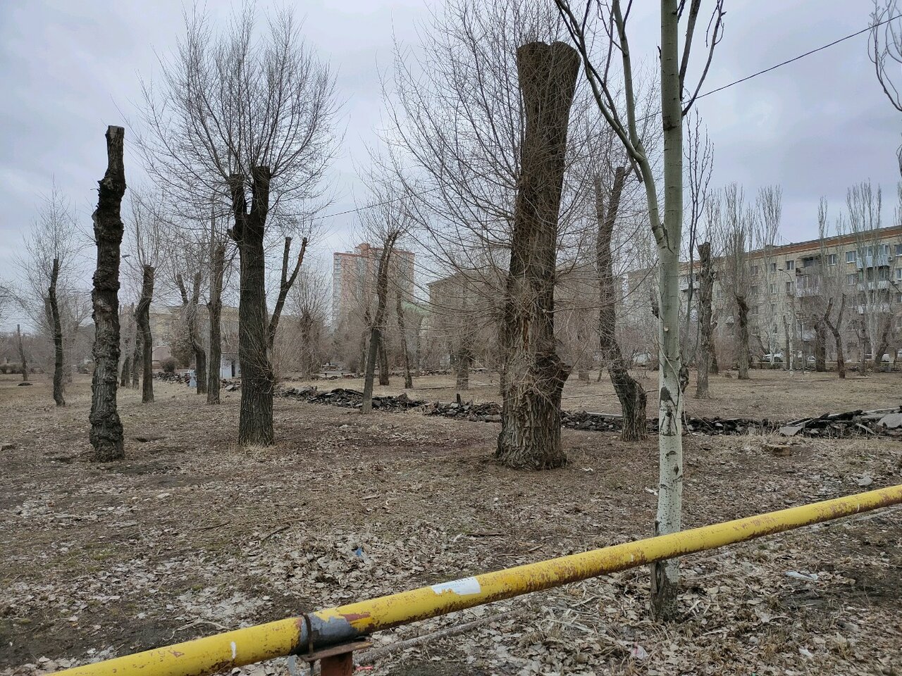 В Волгограде ищут подрядчика для многострадального сквера в центре