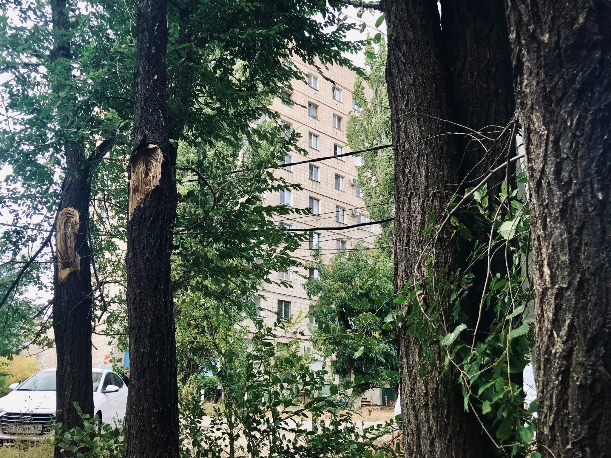 Обязаны дать квартиру до 23-летия: волгоградец через суд выбил себе жилье от государства