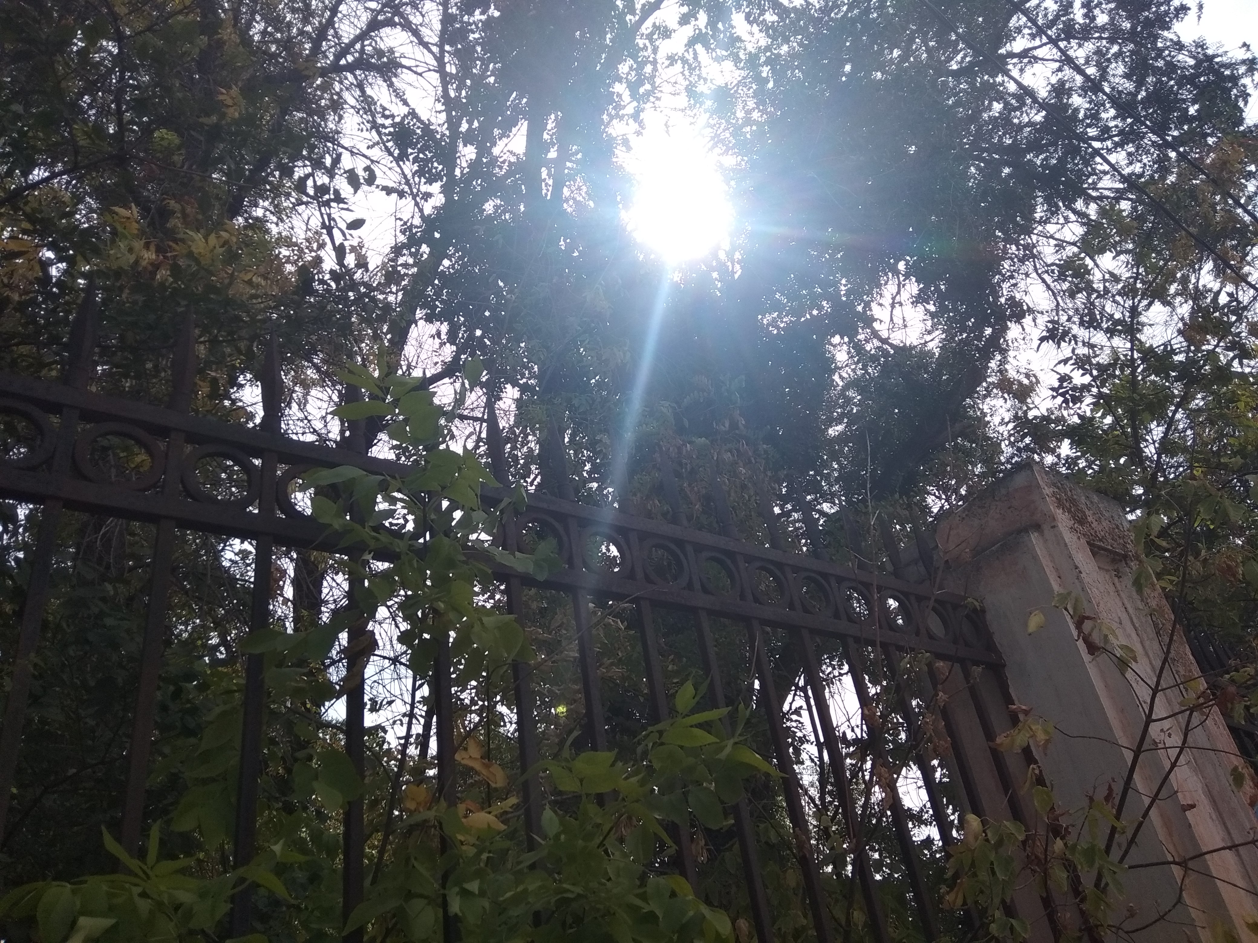 Новым постановлением губернатор Волгоградской области открыл читальные залы и разрешил кино