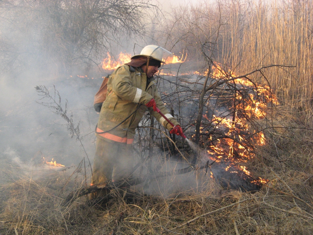 Пожар возле супермаркета вызвал перебои с электричеством в Волгограде