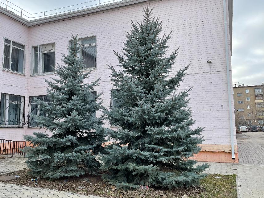 В уходящем году решение проблем было хуже самих проблем: волгоградский фермер – философ поздравил земляков с Новым годом