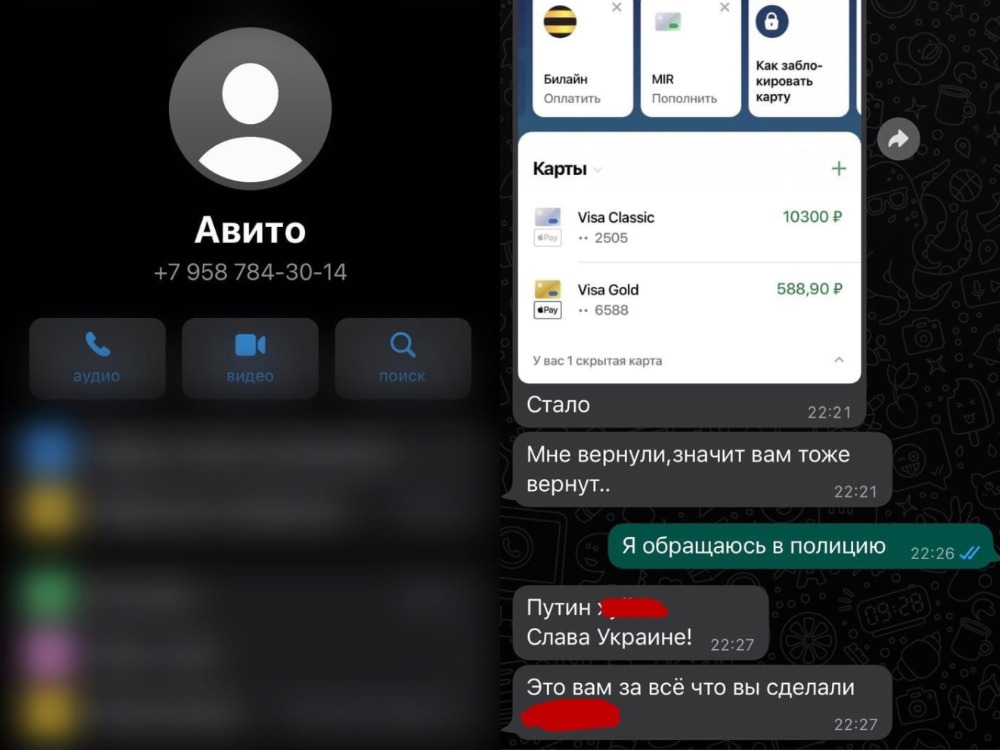 Президента России оскорбил кибермошенник, обворовавший волгоградку 