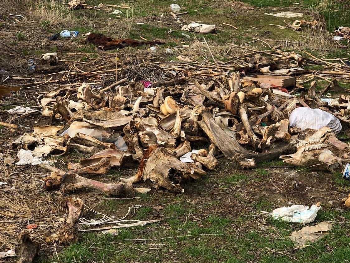 Свалка вместо красоты: кто засоряет территорию Ангарского пруда и как с эти бороться