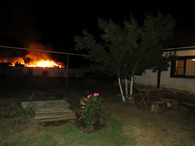 Волгоградка спасла животных из подожжённого живодером сарая