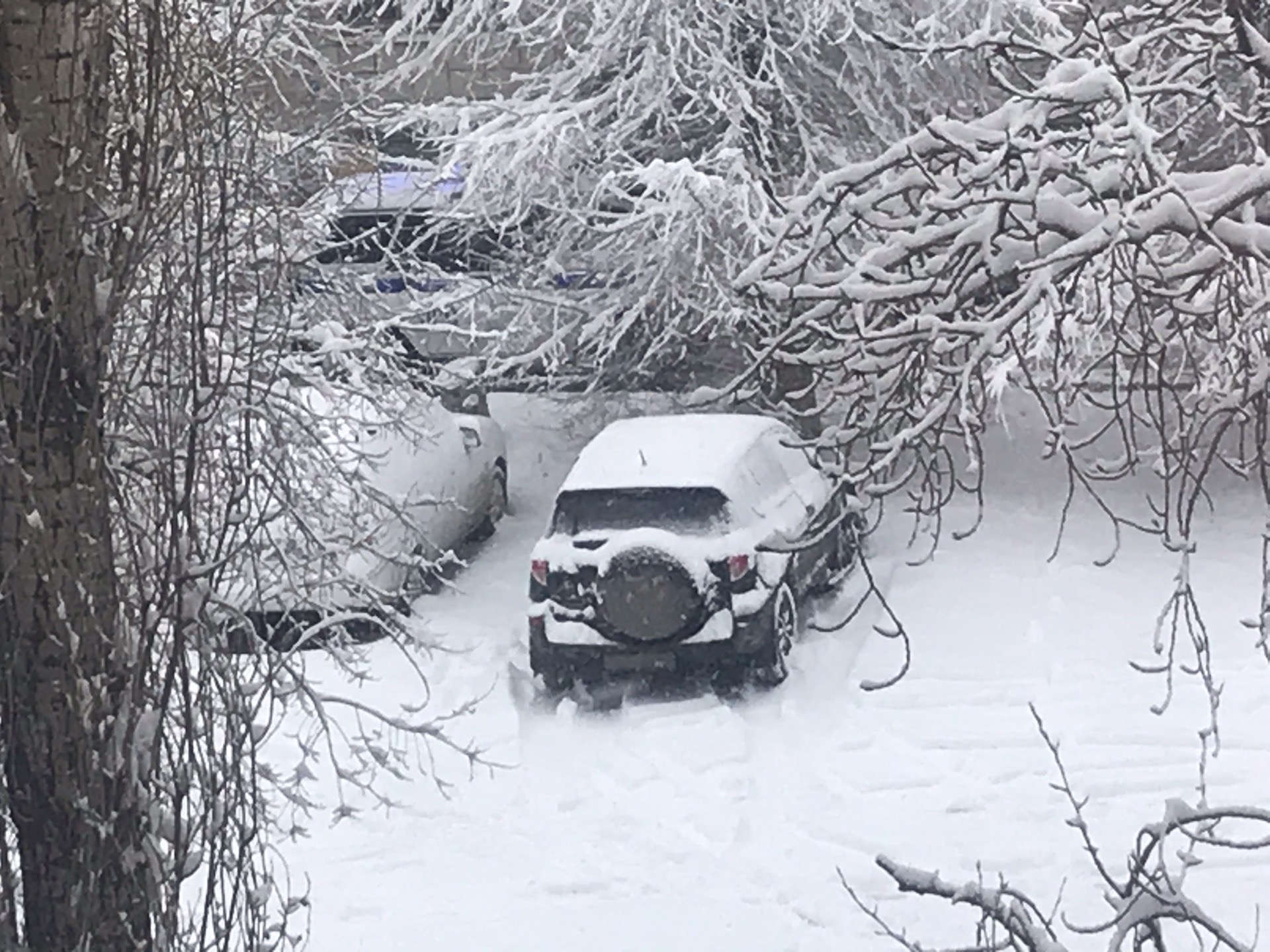 В Волгограде эвакуируют автомобили, оставленные на обочинах