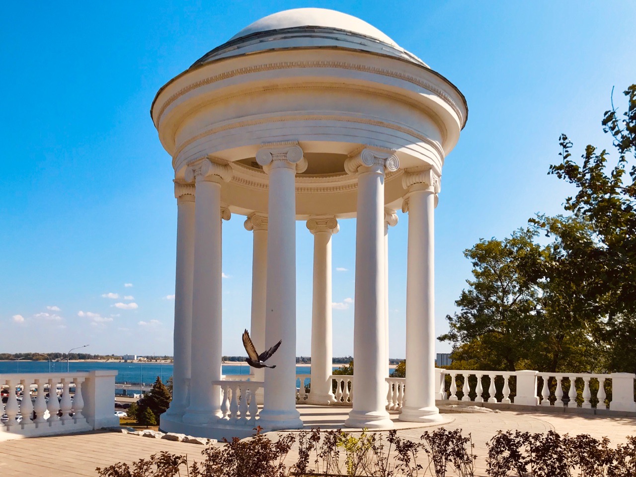 В Волгоградской области прокурору региона доверяют около 20 человек: данные ТГ