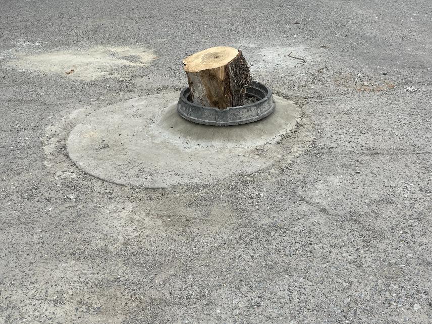 Смешными денежными призами наградят волгоградских спортсменов, ставших призерами Паралимпиады в Париже