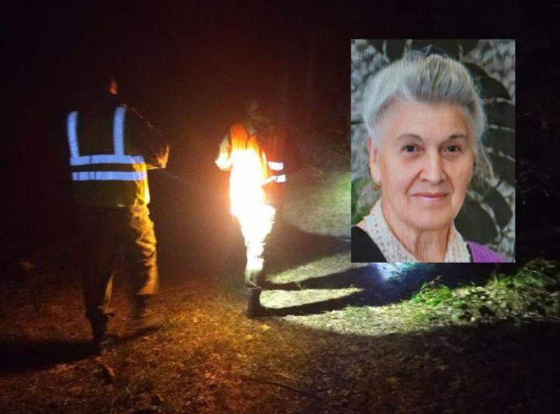 «Есть шанс найти живой»: волонтеры просят помощи у волгоградцев в поисках бабушки