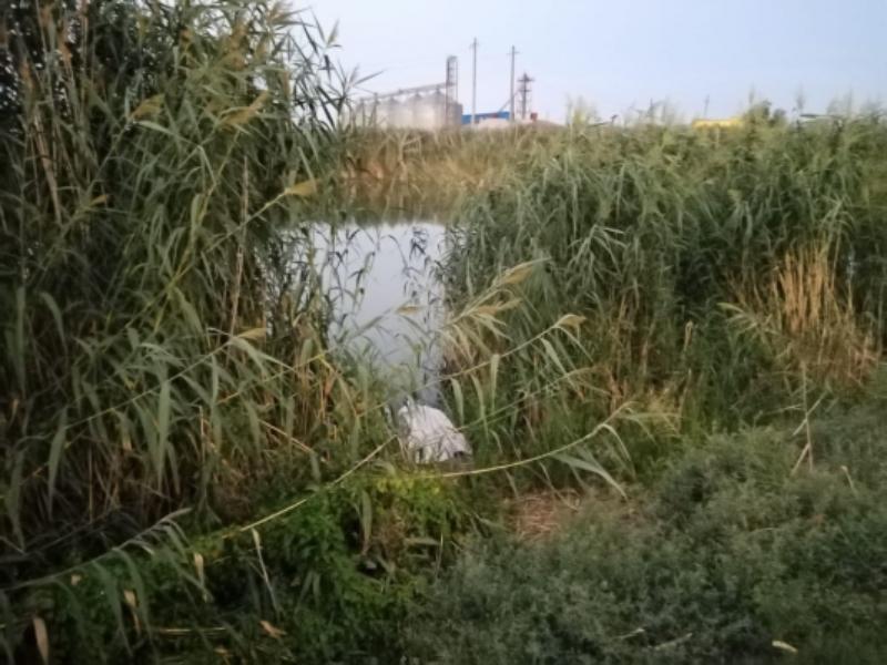 В Волгоградской области 11-летний мальчик утонул во время купание в реке Самородная