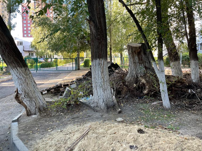 Спасибо мэру Марченко: через горы мусора пробираются в детский сад маленькие волгоградцы