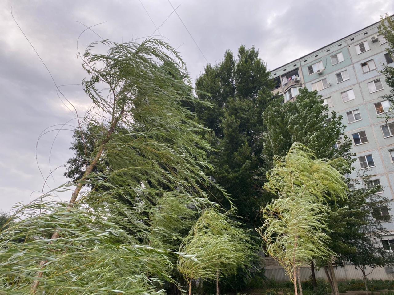 Погодный апокалипсис ожидает Волгоградскую область 