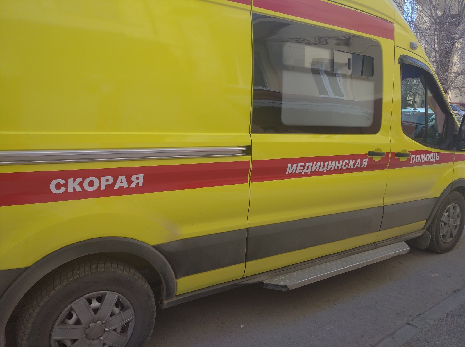 В Волгоградской области зрегистрирован первый случай заражения крымской лихорадкой
