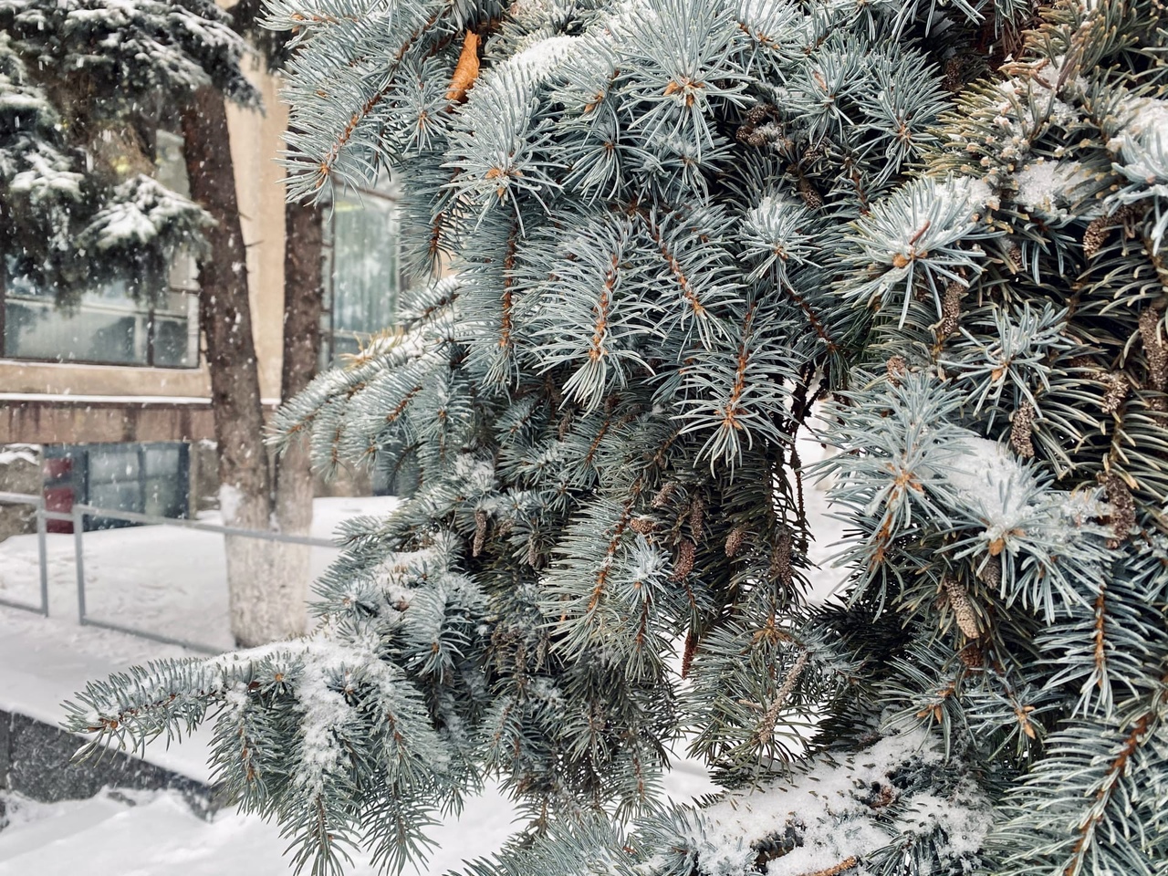 Волгоград замело метелью 13 января