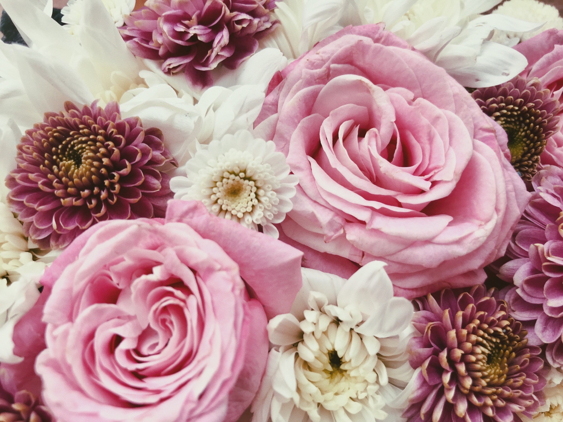 Заброшенный дендрарий у ВолГУ превратят в цветущий сад