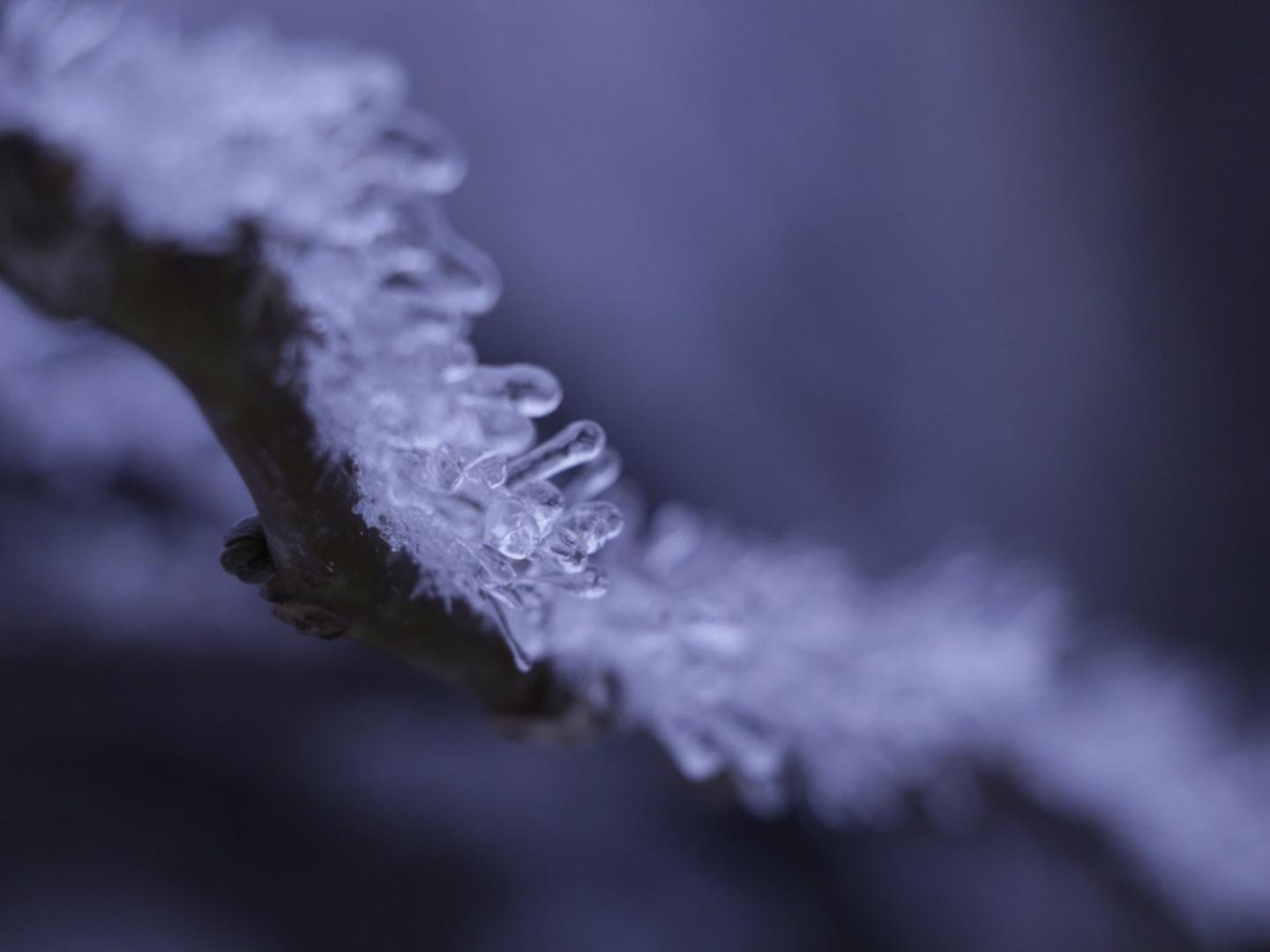 Как менялась погода в Волгограде на Новый год за 14 лет?