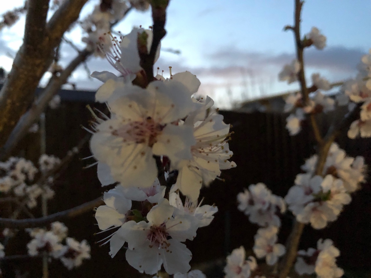 Теплая и ветреная погода ожидается в Волгограде