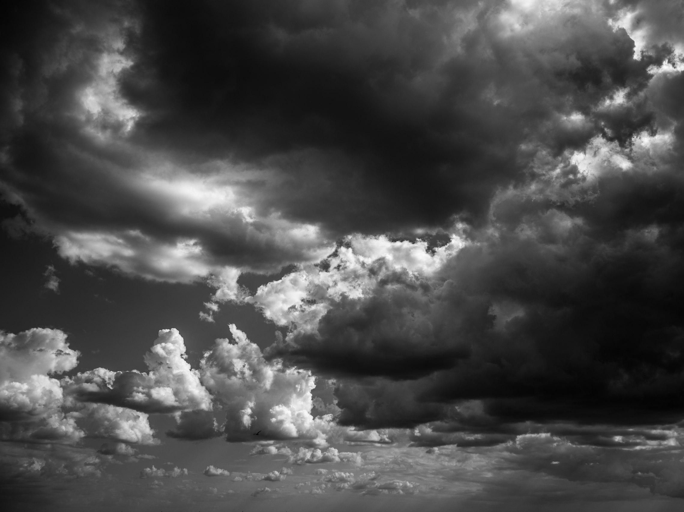 +4°C и снег с дождем: синоптики пообещали волгоградцам теплый Новый год