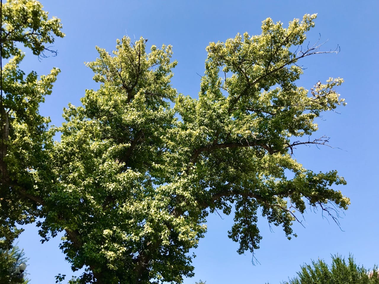 Крышесносный шторм накрыл Михайловский район Волгоградской области