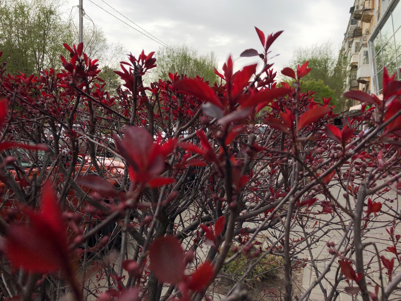 Дождливая погода устаканится в Волгоградской области