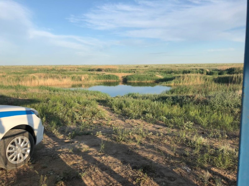 14-летний мальчик утонул на глазах маленького брата в Волгоградской области