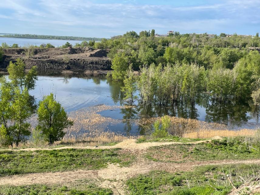 Большой брат будет следить за волгоградским лесом