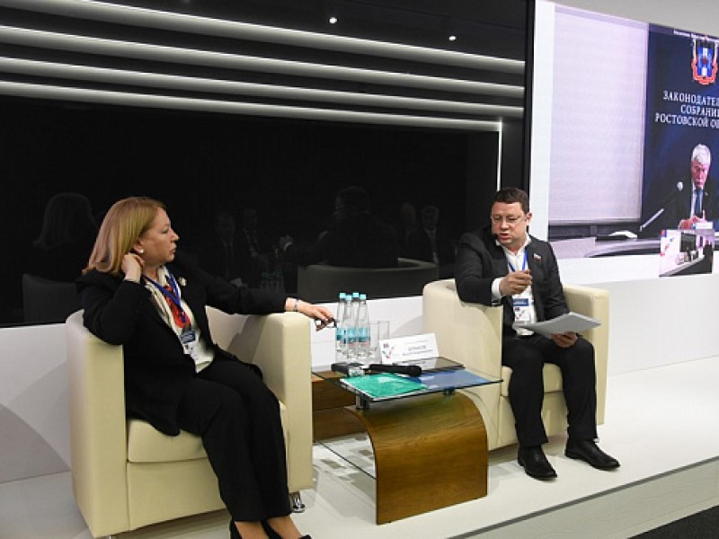 Ирина Соловьева добивается разработки госпрограммы по оздоровлению Дона