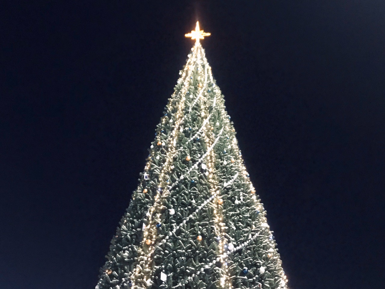 До -21ºС упадет температура в Волгоградской области ночью 