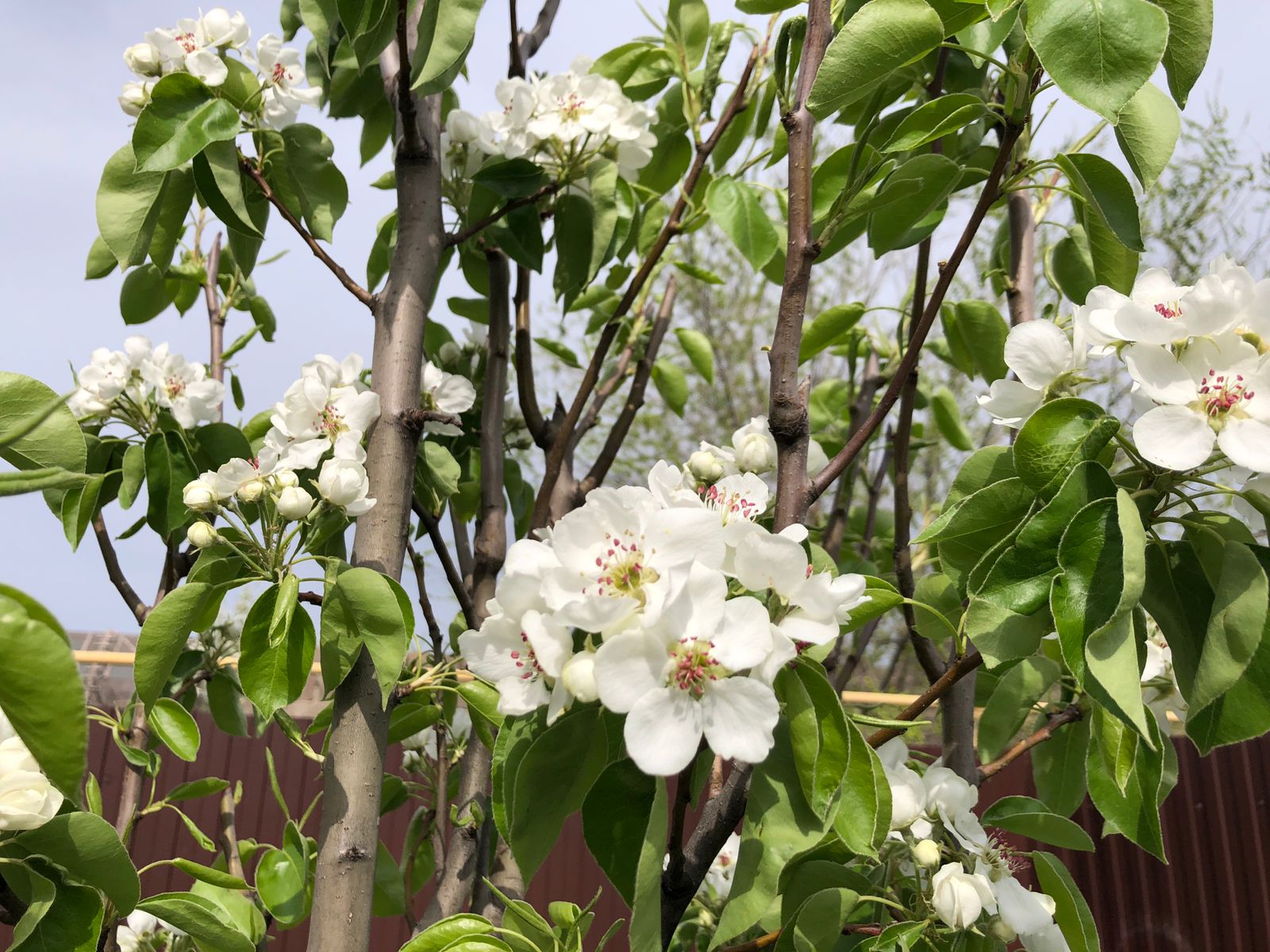 Заморозки сохраняются в Волгоградской области