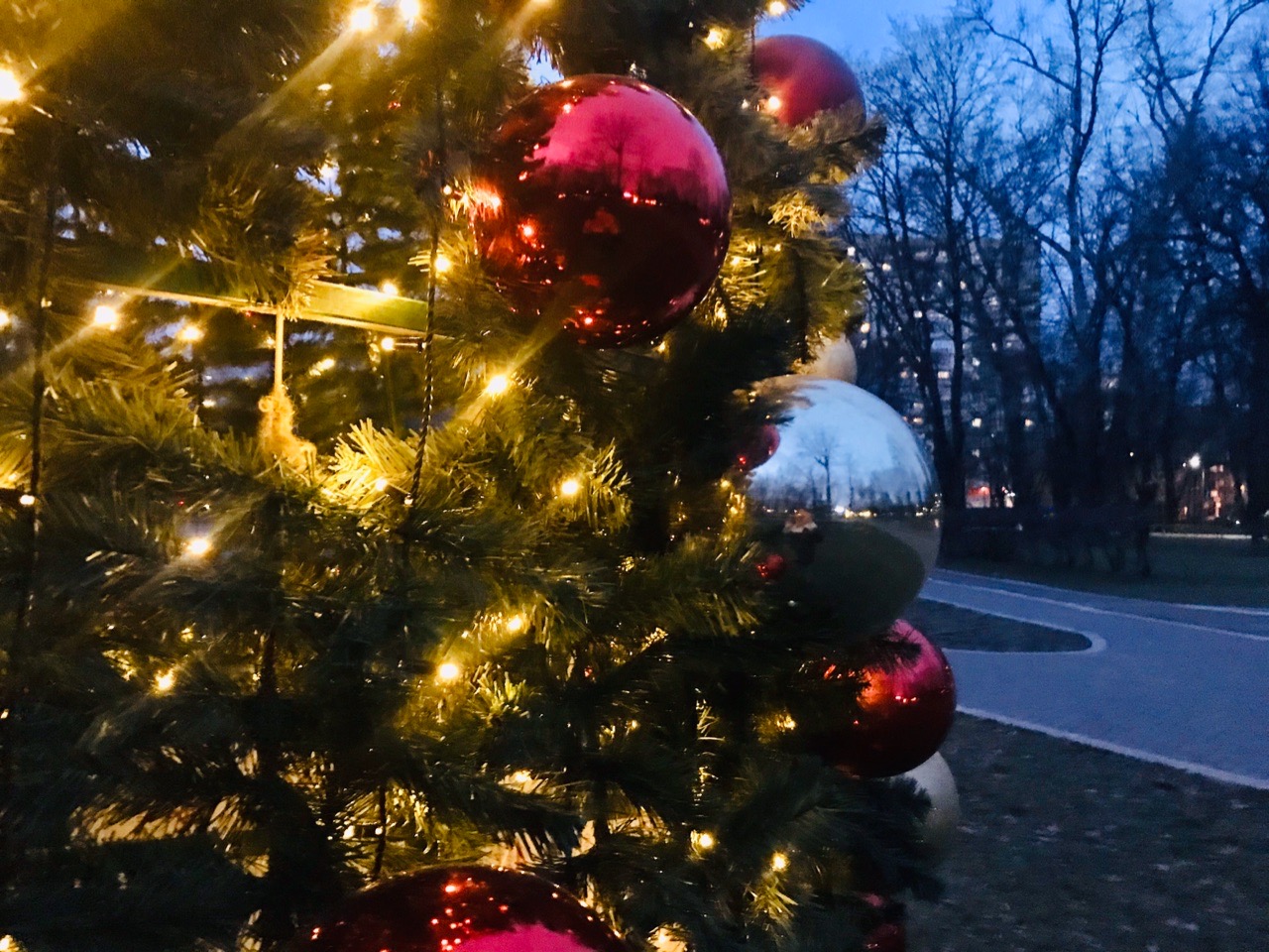 В пойме реки Царица в центре Волгограда открылся каток