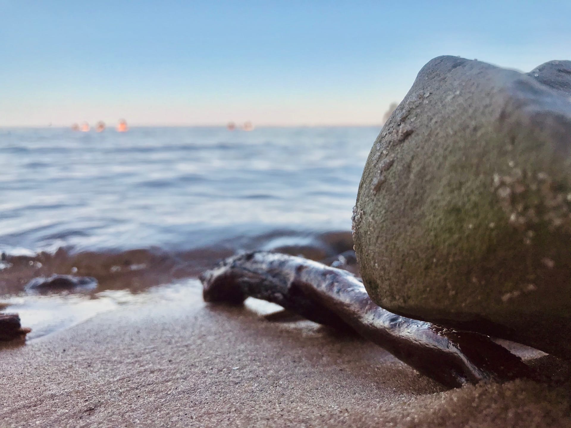 Четыре десятка студентов волгоградского политеха отдохнут за 613 тысяч бюджетных рублей в разгар пандемии