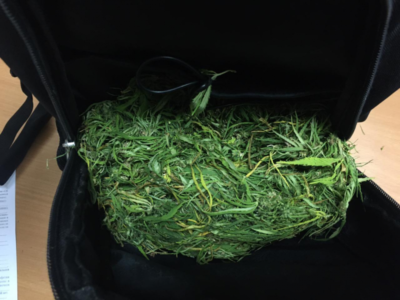 Целый килограмм наркотиков нашли у школьников под Волгоградом