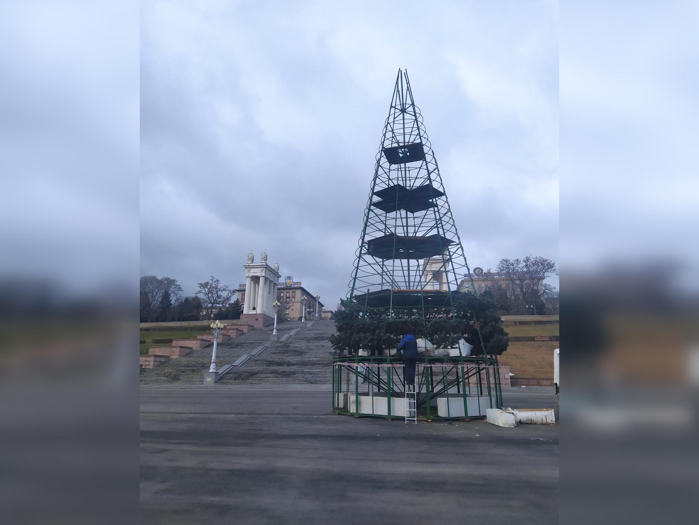 22-метровую новогоднюю ель устанавливают на волгоградской набережной