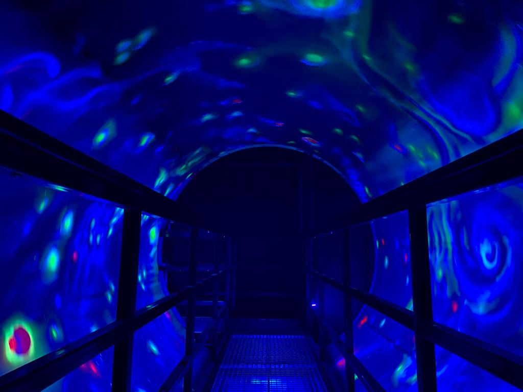 Черная дыра появилась в Волгоградском Центральном парке культуры и отдыха