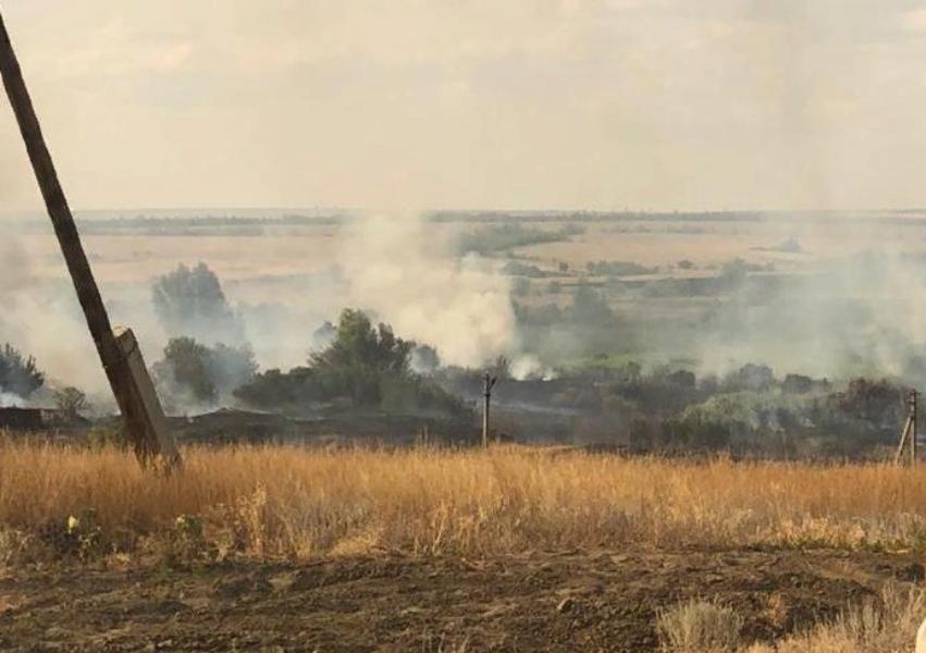 Полиция задержала пастуха, устроившего пожар в Дубовке