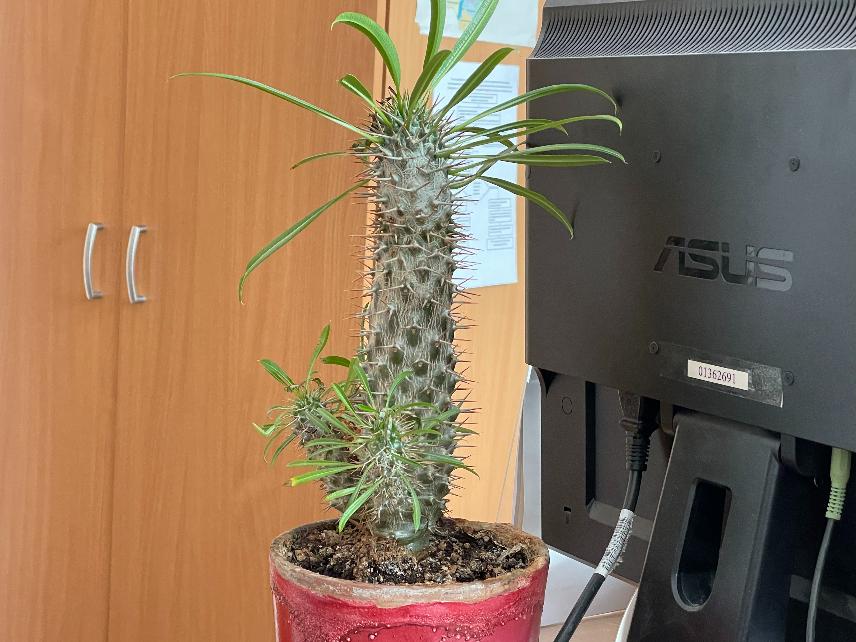 После выборов в Волгоградской области отключили газ, свет и отменили автобусы