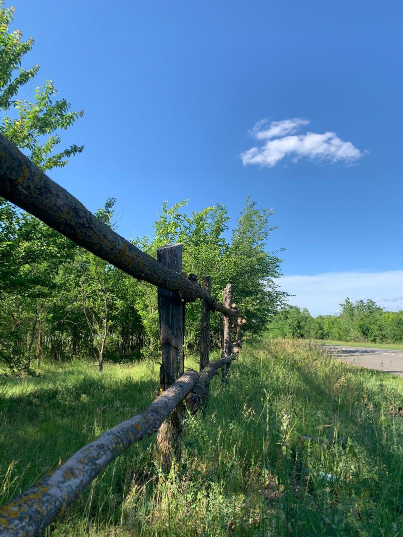 Волгоградские политики поздравили народ с Днем России