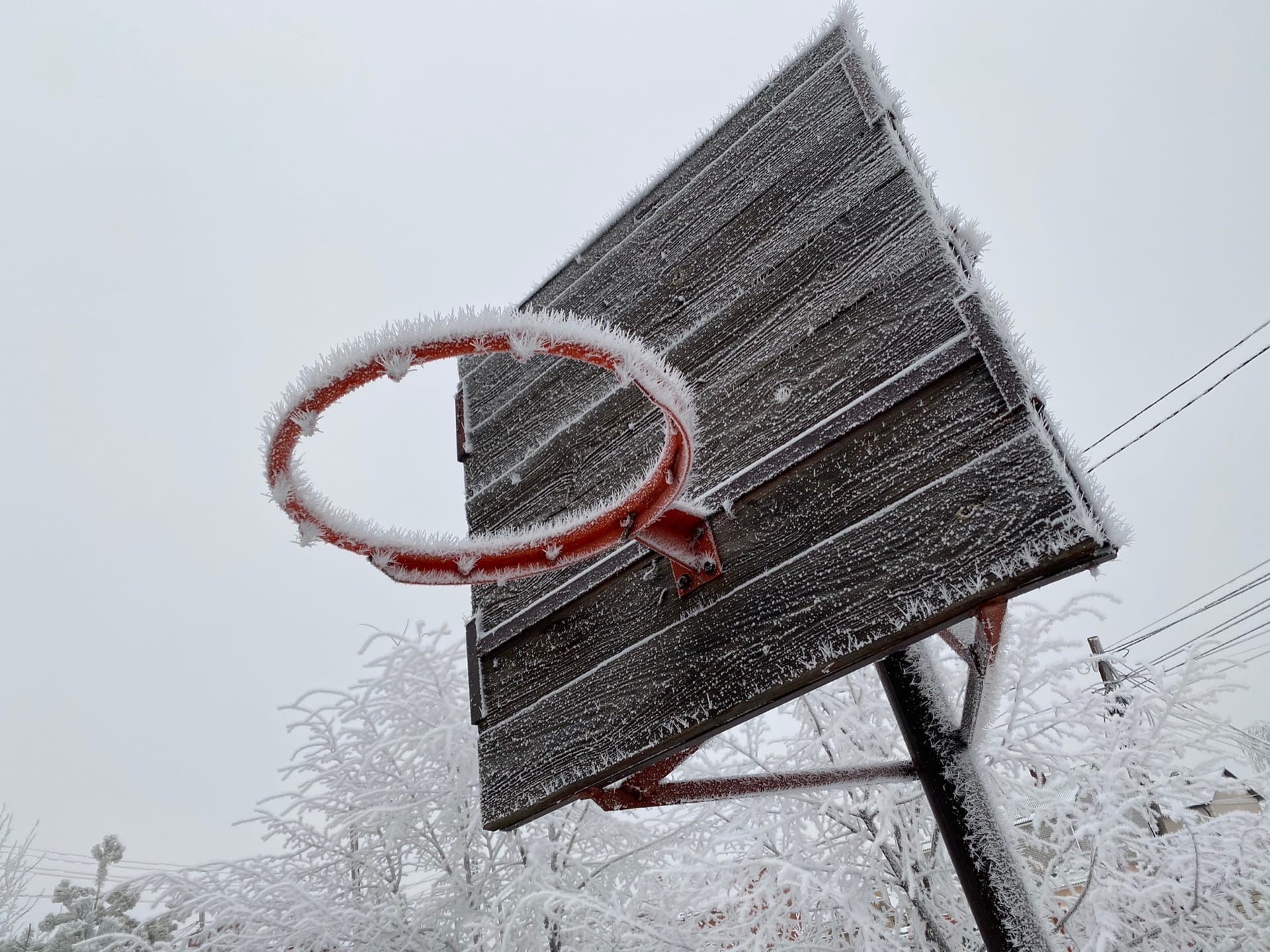 МЧС предупреждает: опасная красота и гололед задержатся в Волгоградской области на несколько дней