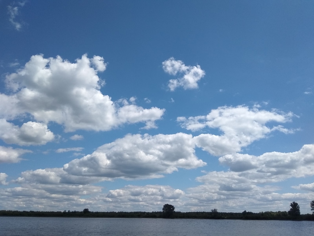 Роспотребнадзор по Волгограду предупредил горожан о клещах и опасности немытых продуктов